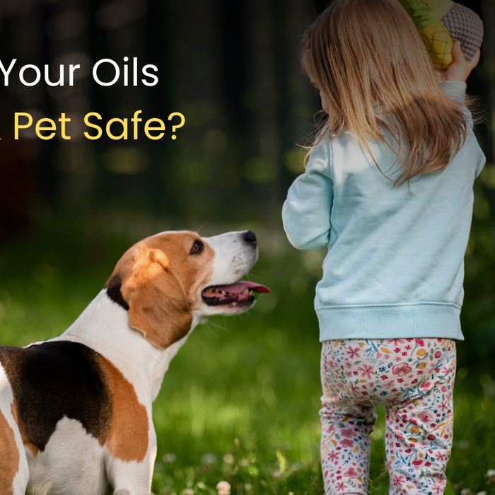 Are Essential Oils Safe for Pets & Kids? What You Need to Know