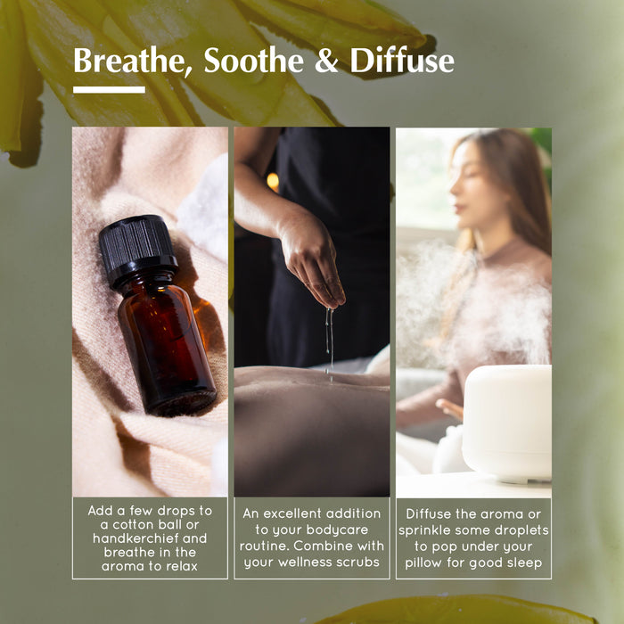 Ylang-Ylang Pure Essential Oil