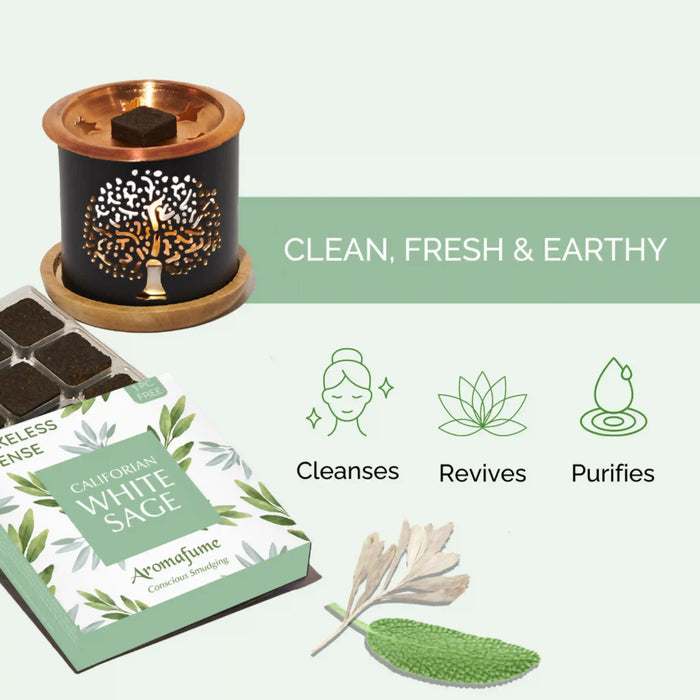 Scent Profile: Clean, fresh and earthy