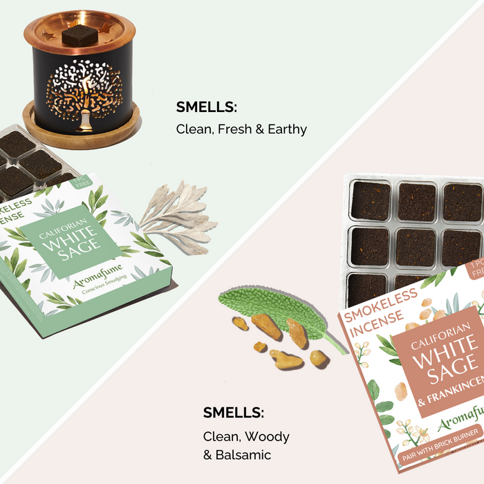 White Sage & Frankincense Smokeless Incense Kit