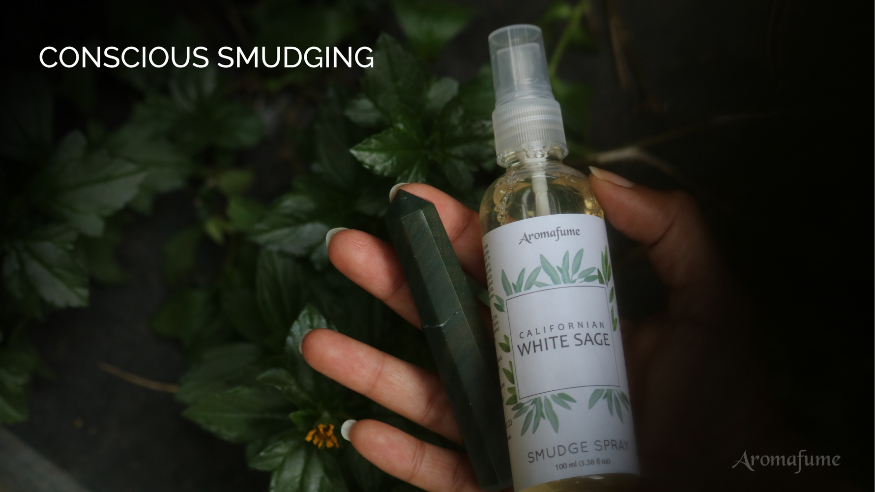 Embrace the Sacred Art of Smudging with Mindful Intent  - How to smudge white sage consciously