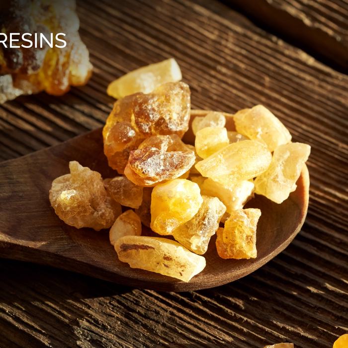 Resins and the 3 Wise men