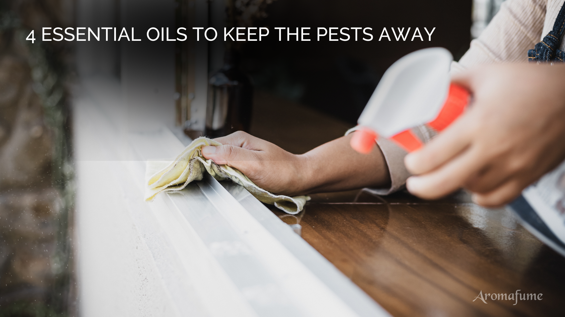4 Essential Oils To Keep Bugs & Pests Away