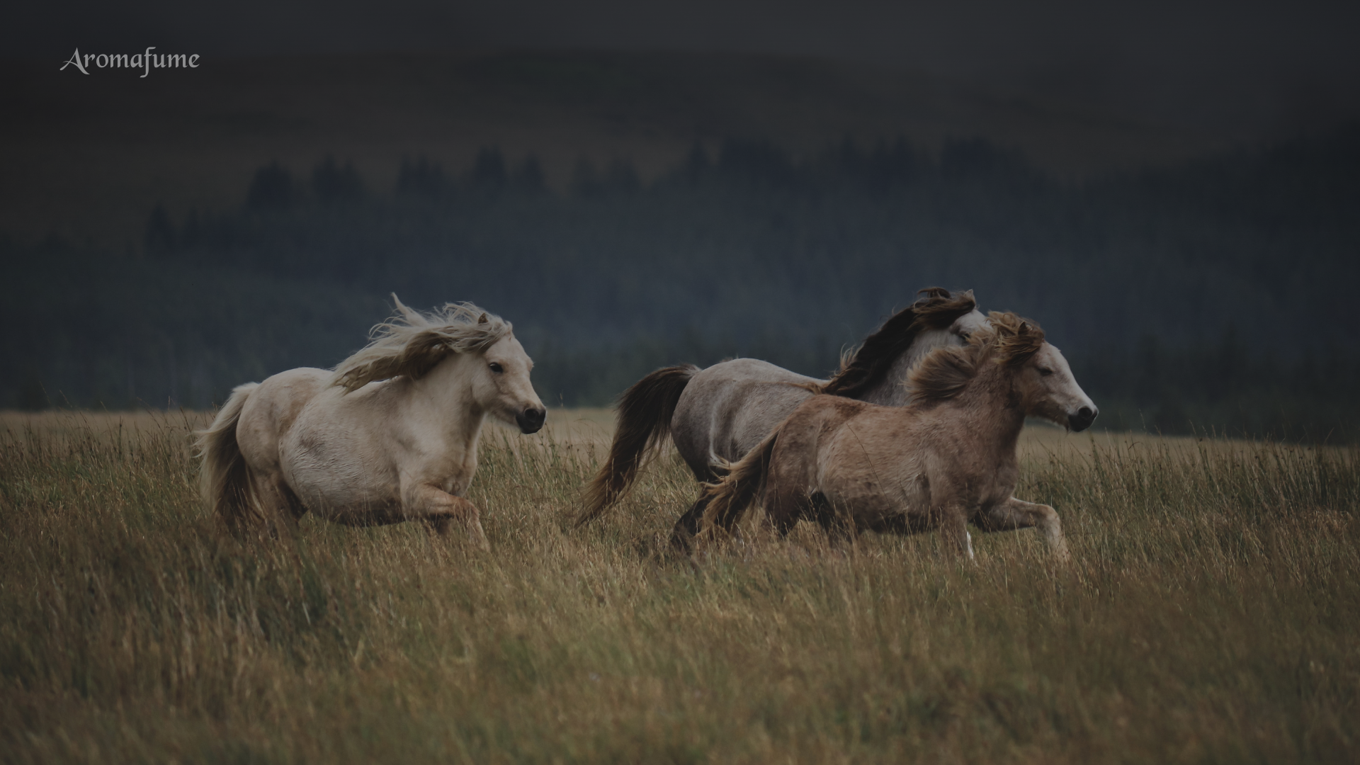 How to Reset Your Home & Energy for the Year of the Horse