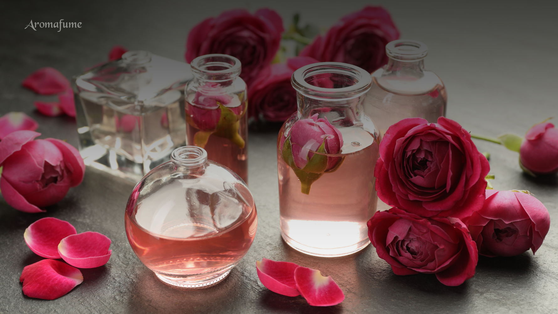 Rose Scent Benefits: Why It’s the Scent of Love & Comfort