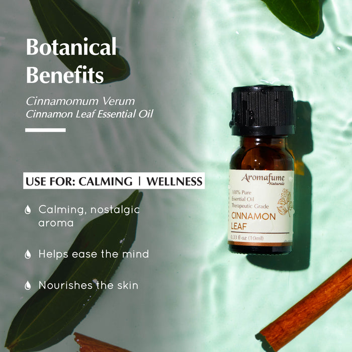 Cinnamon Leaf Pure Essential Oil