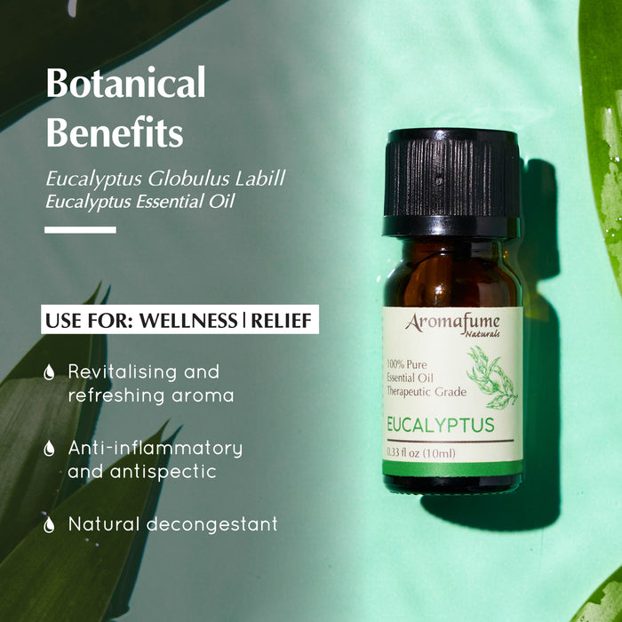 Eucalyptus Pure Essential Oil