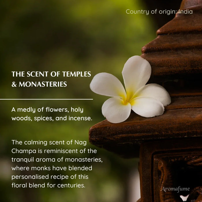Nag Champa is the scent of ancient Indian temples
