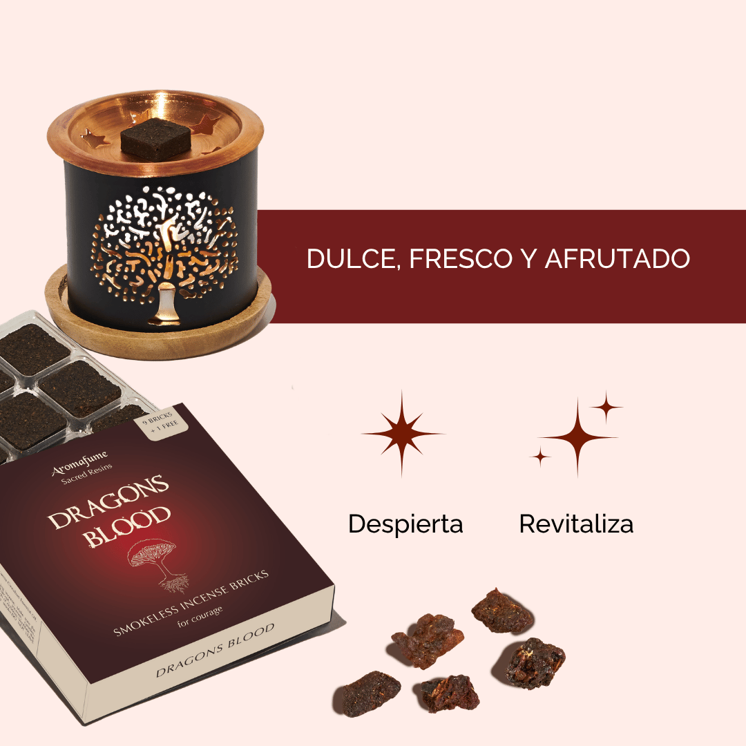 Set de Ladrillos de Incienso de Sangre de Dragón con Quemador
