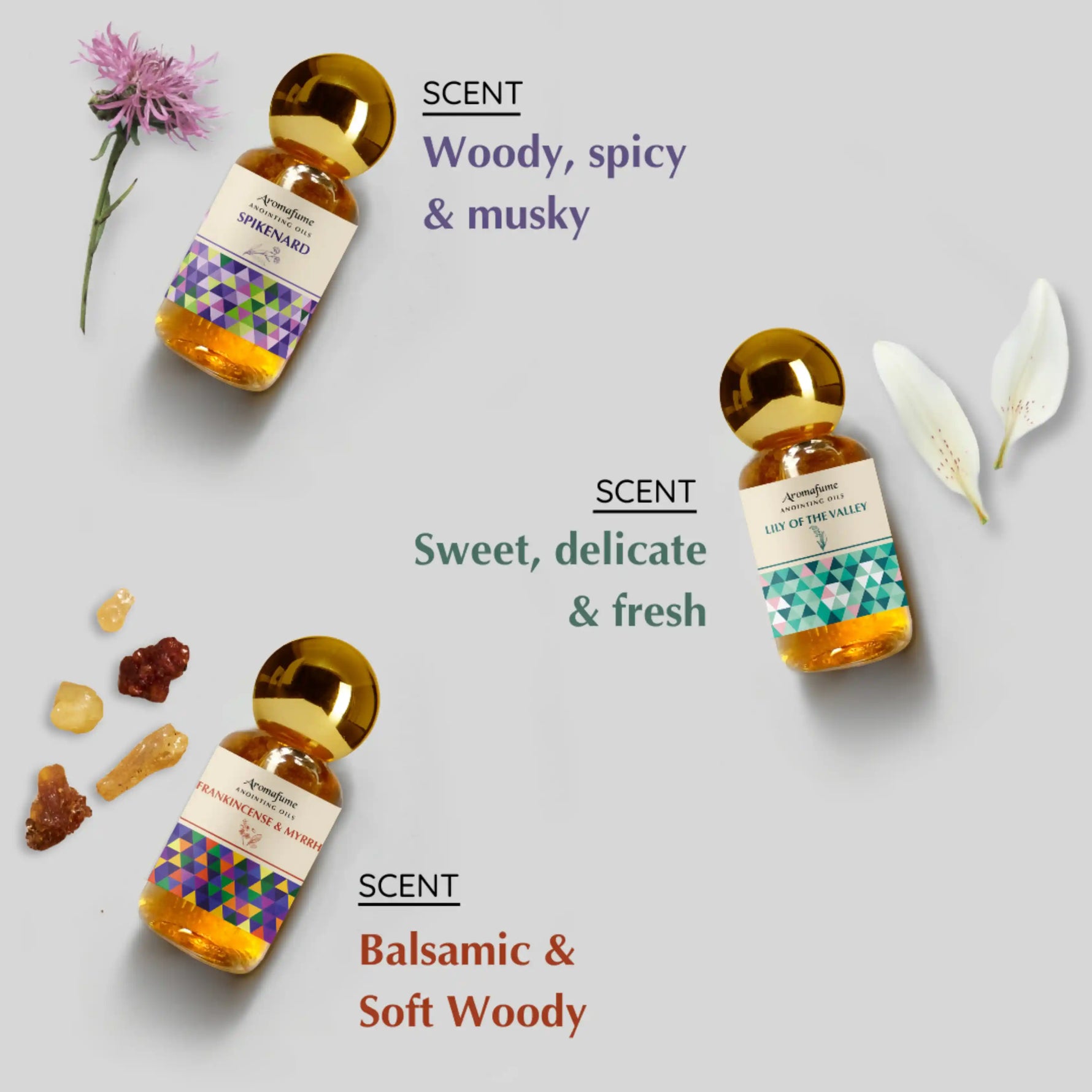 Scent Profile - Woody, Musky, Delicate, Fresh and soft woody