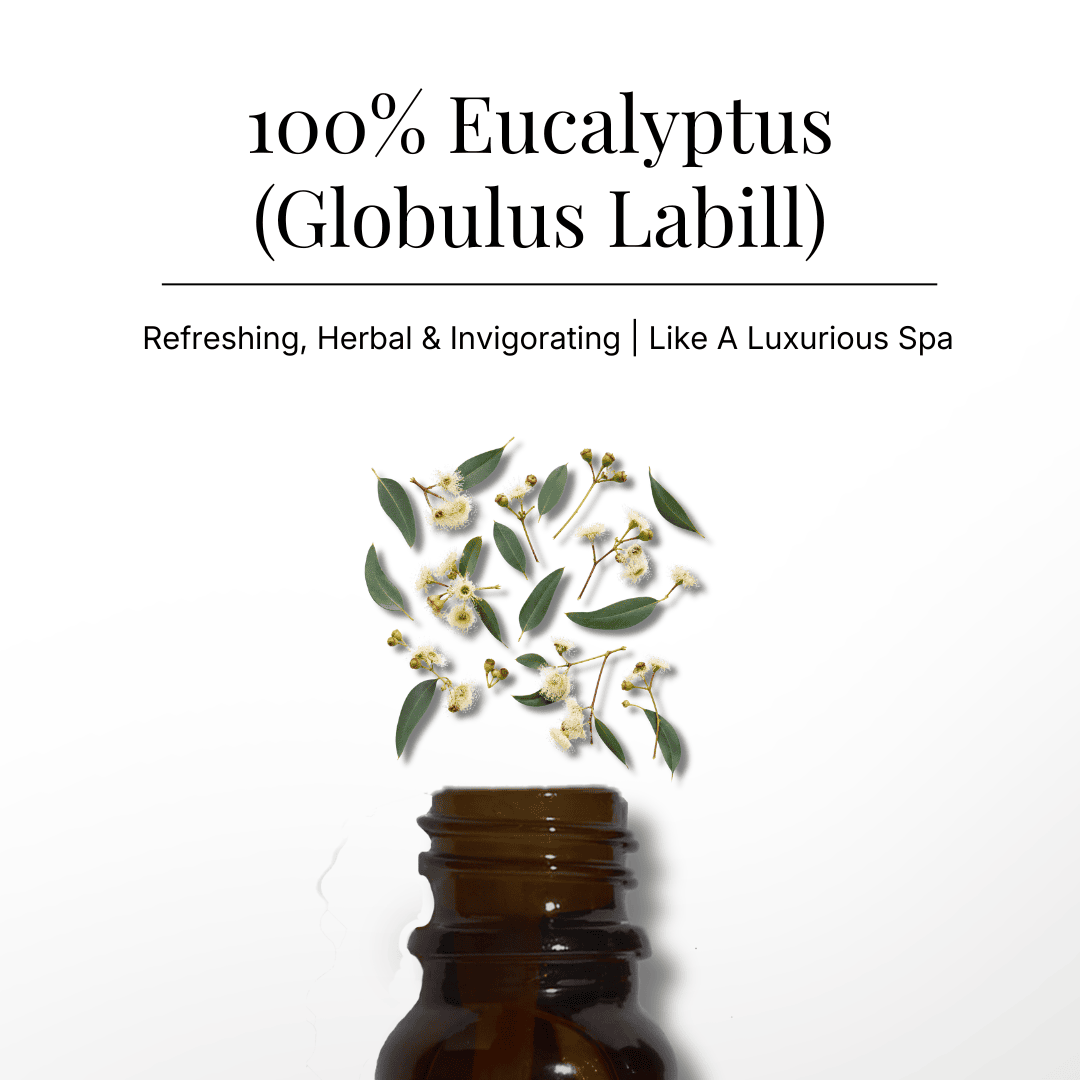 Eucalyptus Pure Essential Oil