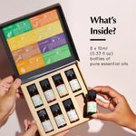 What's Inside The Box