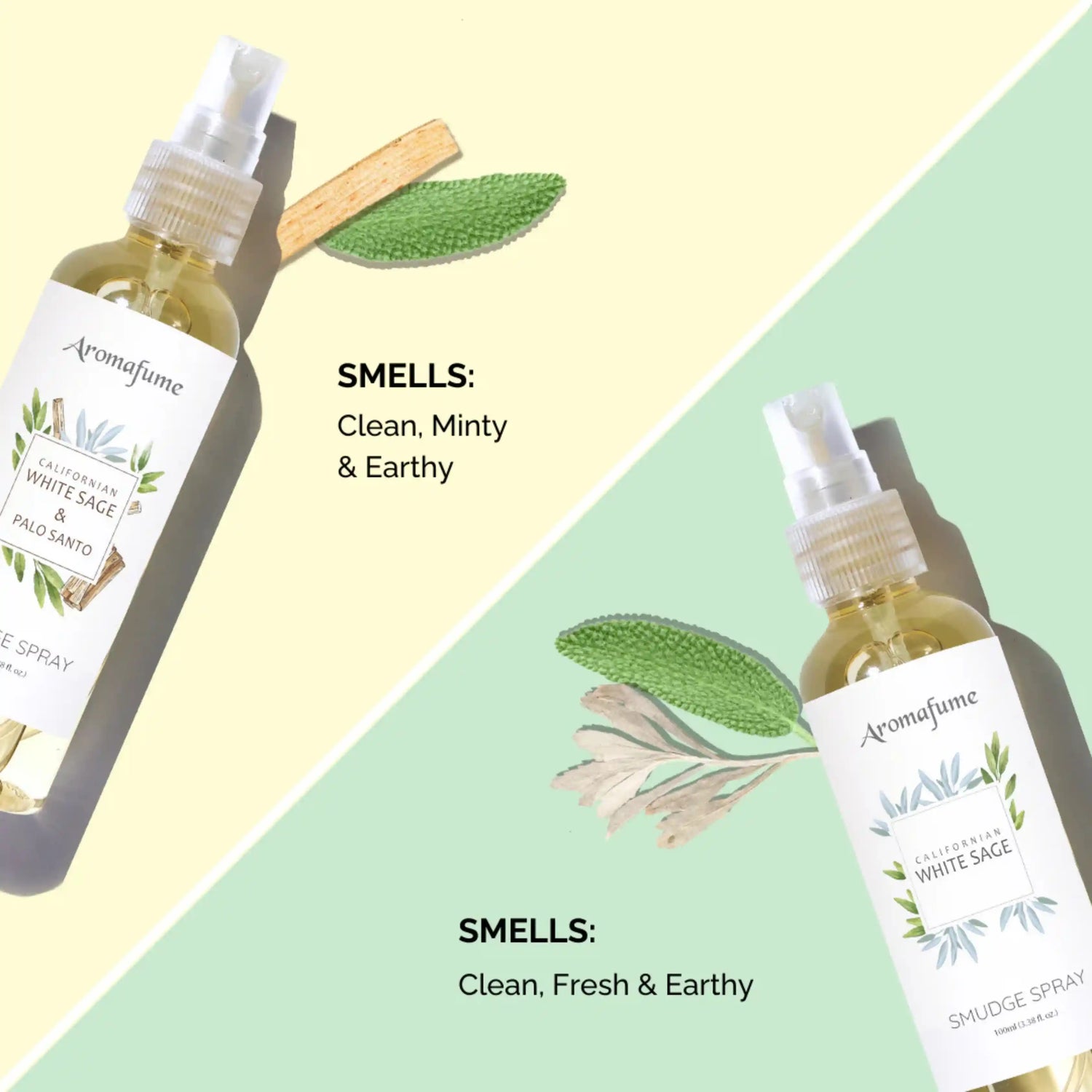 Scent Profile - Clean, Fresh, Earthy and Minty
