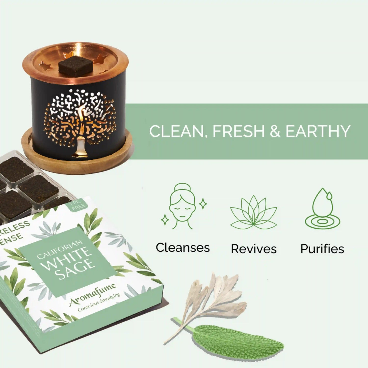 Scent Profile: Clean, fresh and earthy