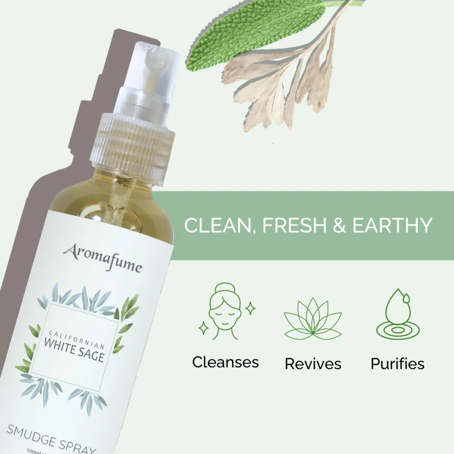 Scent Profile - Earthy, clean and fresh