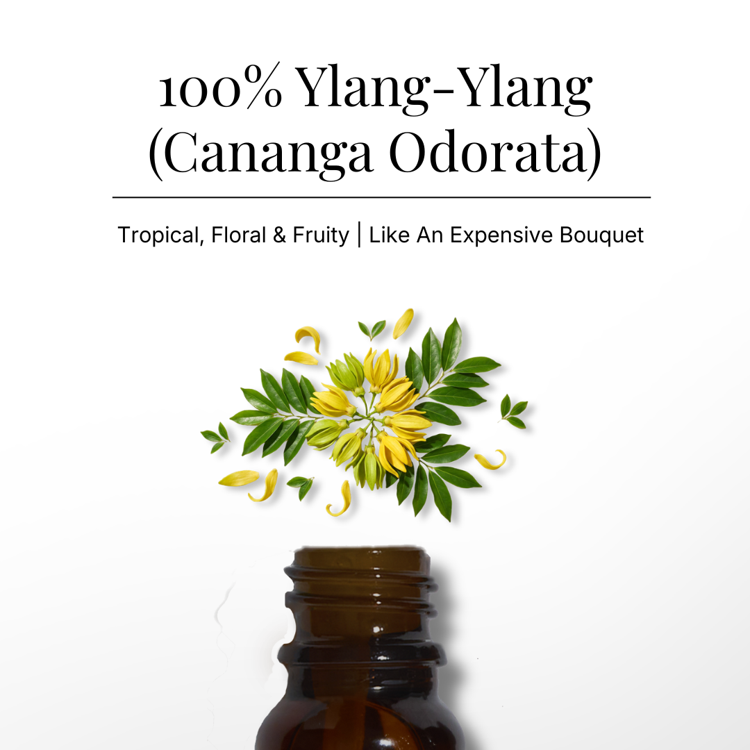 Ylang-Ylang Pure Essential Oil