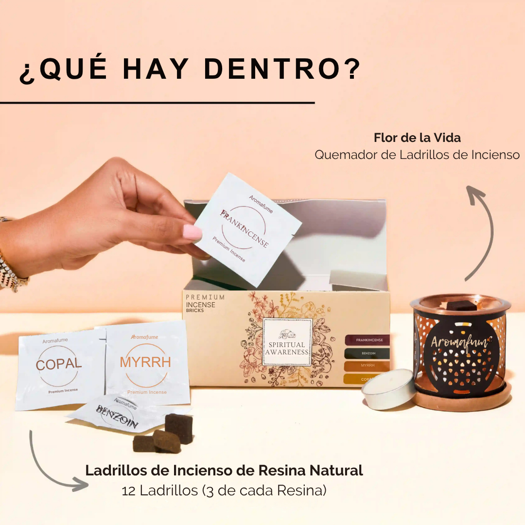 Kit de Regalo de Ladrillos de Incienso y Quemador "Conciencia Espiritual"