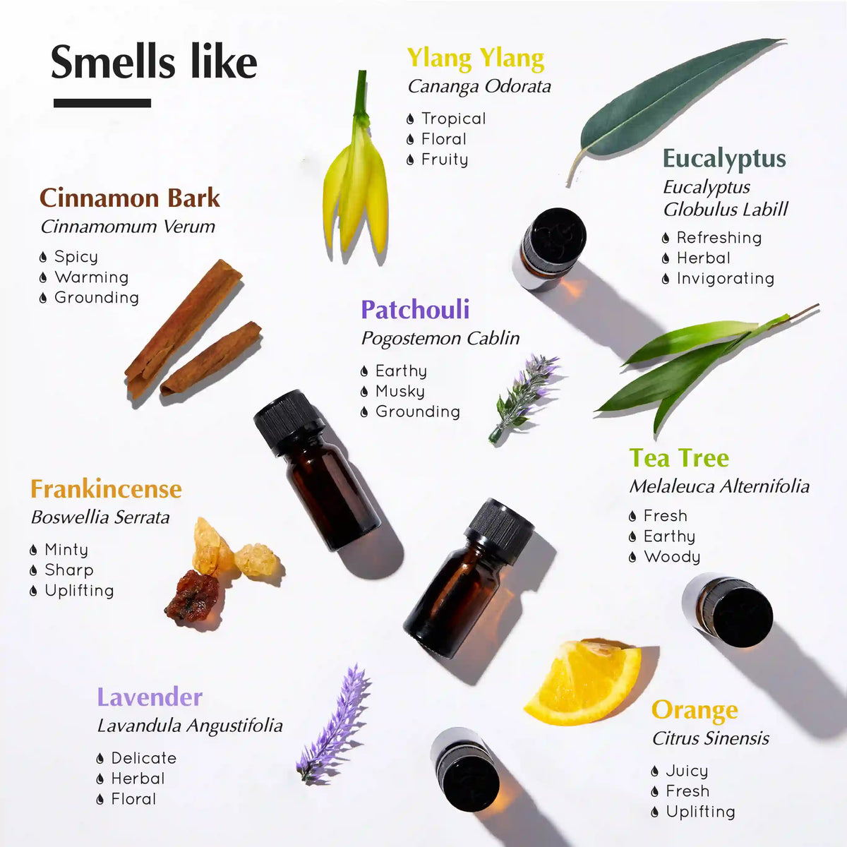 Scent Profiles - Assortment of scents which are warming, Floral, Refreshing, Grounding, Woody and more