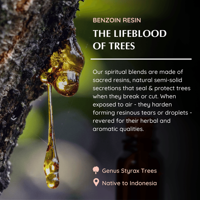 Benzoin Essential Oil