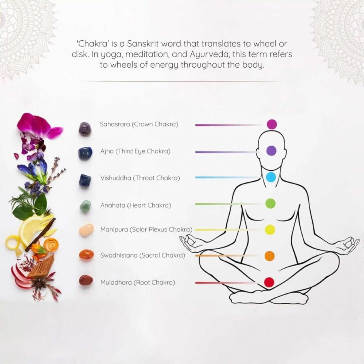 Activate your 7 Chakras with Aromatherapy