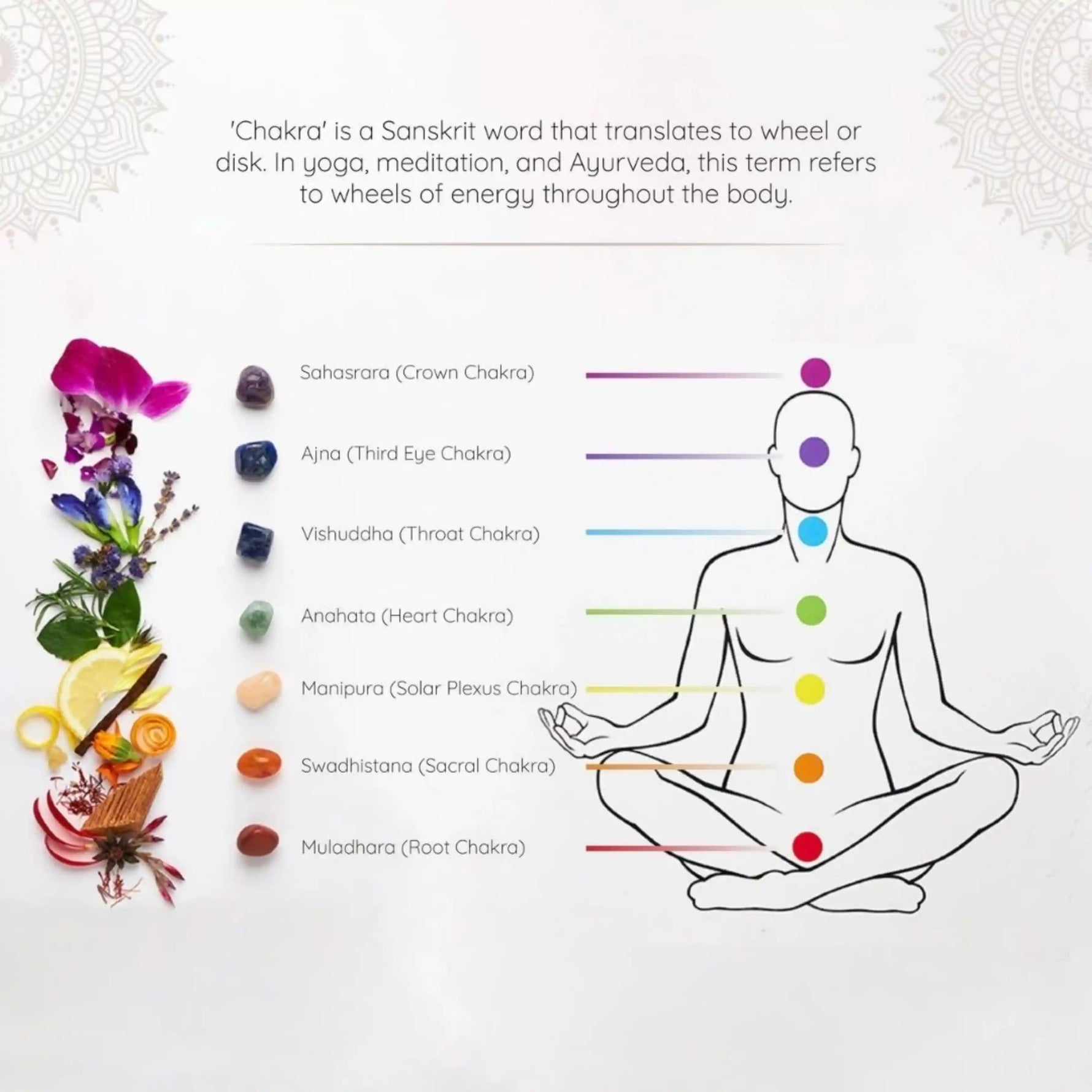 Activate your 7 Chakras with Aromatherapy
