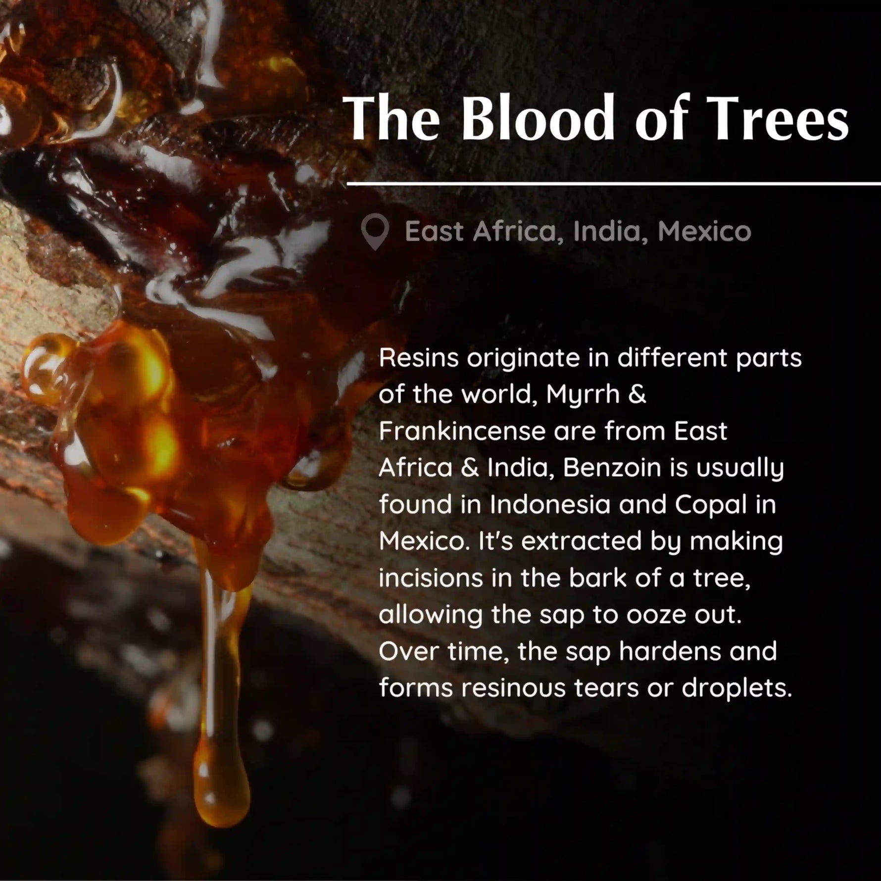 Origin of Resins - Frankincense, Myrrh, Copal, Benzoin come from East Africa, India and Mexico