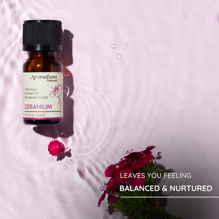 Floral Delight - Pure Essential Oil Kit