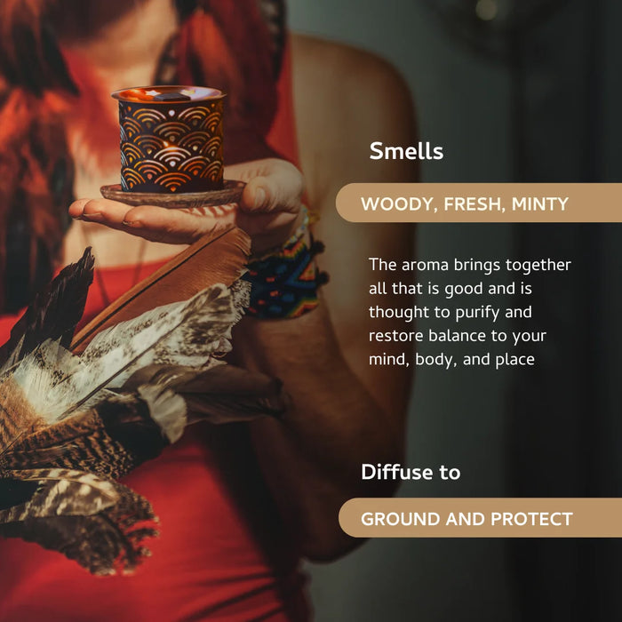 Palo Santo Incense Bricks Refill Pack