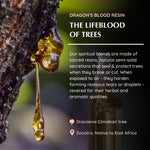 Origin of Dragon's Blood Resin - Socotra, Native to East Africa