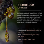 Resin origins: Frankincense (Boswellia), Myrrh (Commiphora), Copal (Protium) – ancient tree resins