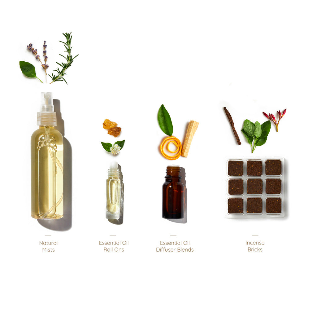 Every scent has a secret. Let's reveal it.