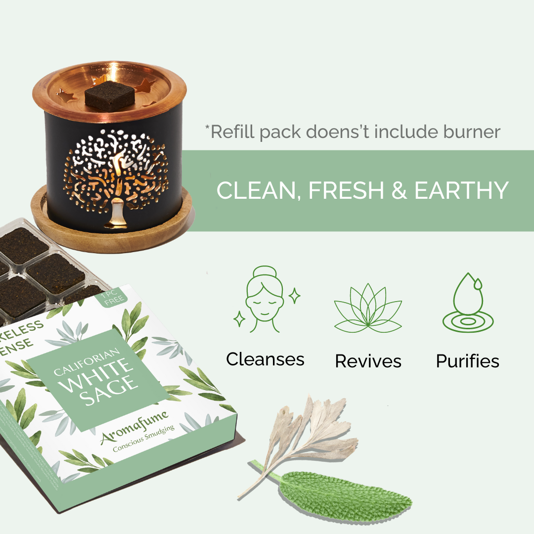 White Sage Incense Bricks Refill Pack