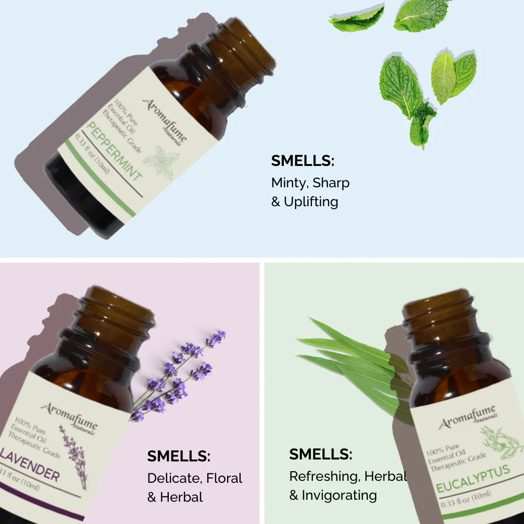 Comfort & Relaxation - Pure Essential Oil Kit