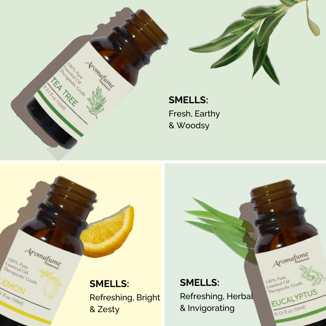 Energy Boost - Pure Essential Oil Kit