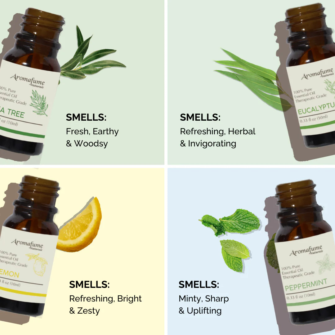 Natural Air Freshener - Pure Essential Oil Kit