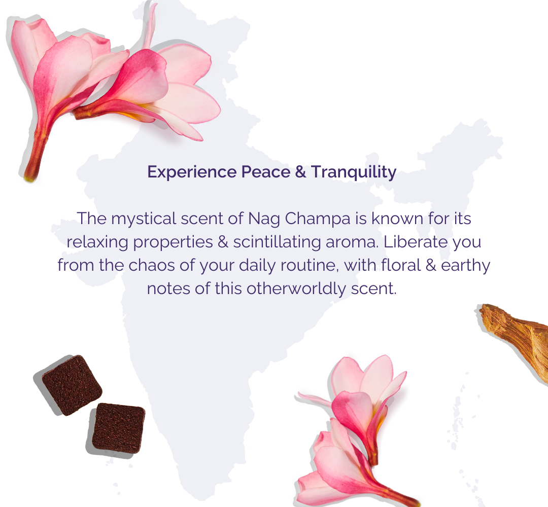 Aromatherapy from across the world — Aromafume - USA